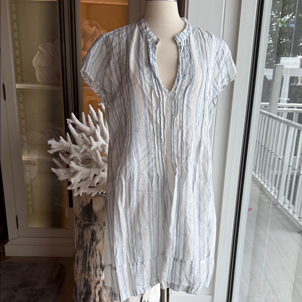 CP Shades Blue and White Striped Dress